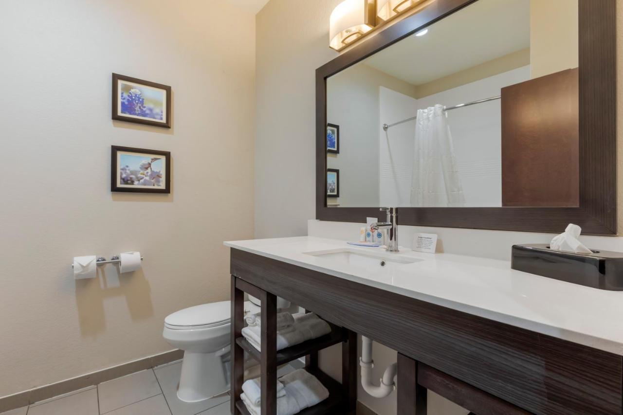 Comfort Inn & Suites Balch Springs - Se Dallas Buitenkant foto